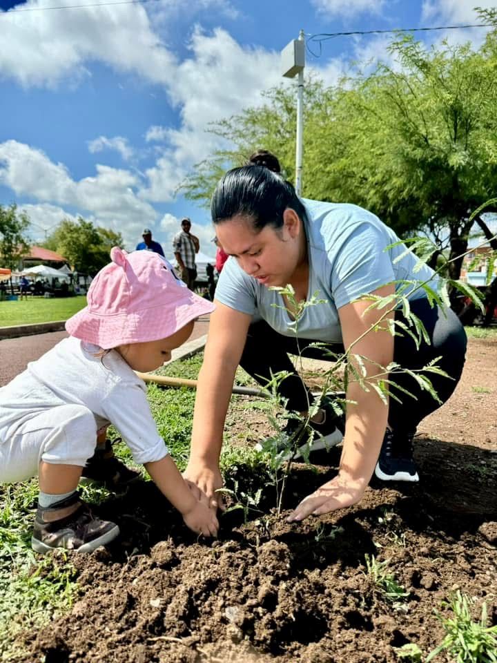 FOMENTA LÍNEA VERDE LA CULTURA AMBIENTAL CON ACCIONES DE CUIDADO DE ÁRBOLES Y PLANTAS