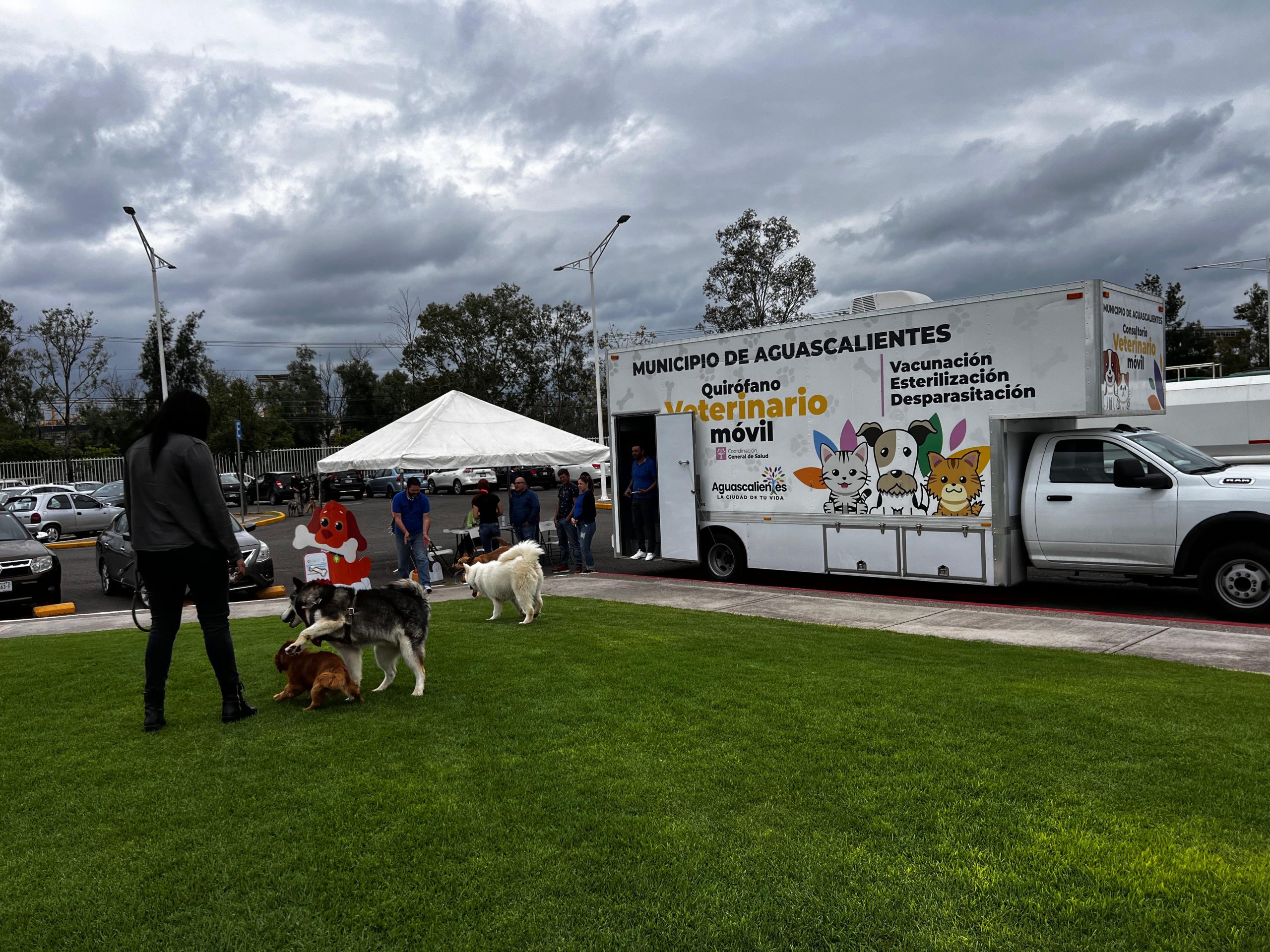 FORTALECE MUNICIPIO DE AGUASCALIENTES ACCIONES EN FAVOR DEL BIENESTAR ANIMAL
