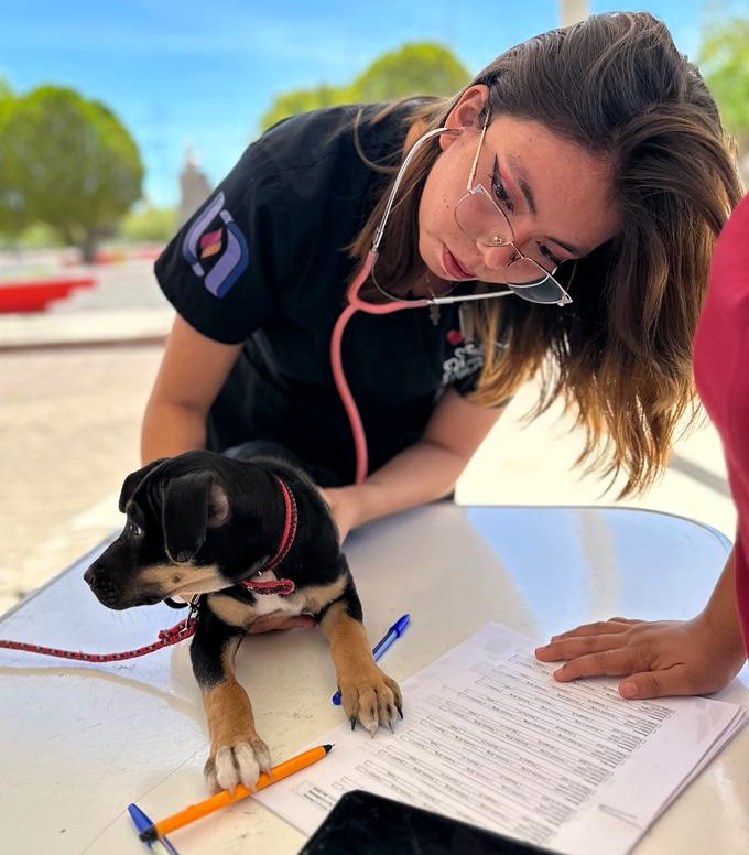 Llevan atención veterinaria gratuita a municipios del norte de Aguascalientes: bienestar animal y salud pública van de la mano