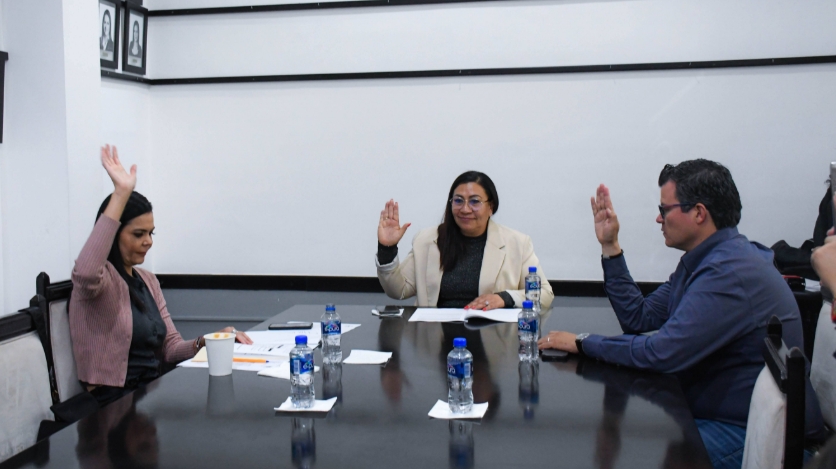 Avanzan comisiones del Congreso de Aguascalientes en la consolidación de reformas con impacto social