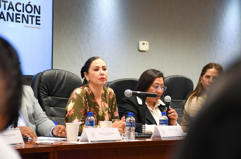 DIPUTACIÓN PERMANENTE CONVOCA A SESIÓN PREVIA PARA INICIAR EL SEGUNDO PERIODO ORDINARIO; ABREN AGENDA SOCIAL SOBRE USO DIGITAL EN MENORES