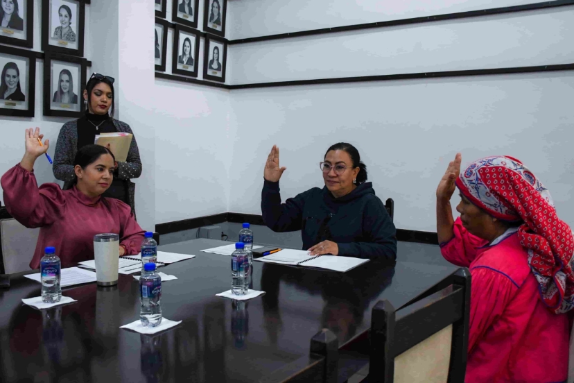 Comisión de la Familia del Congreso de Aguascalientes impulsa reformas clave para proteger a niñas, niños, adolescentes y personas adultas mayores