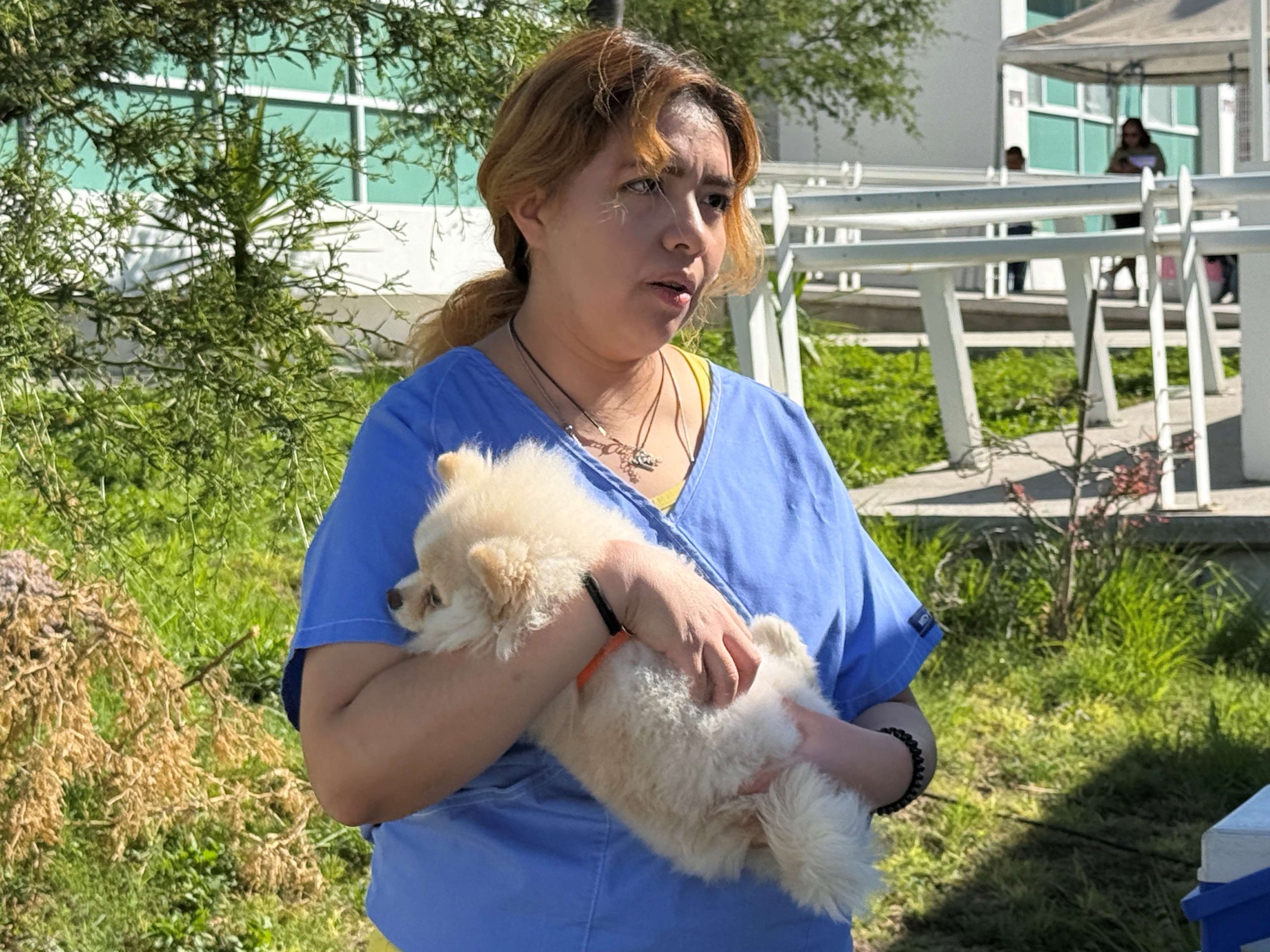 Nuevas fechas del Quirófano Veterinario Móvil: Aguascalientes fortalece el cuidado responsable de mascotas