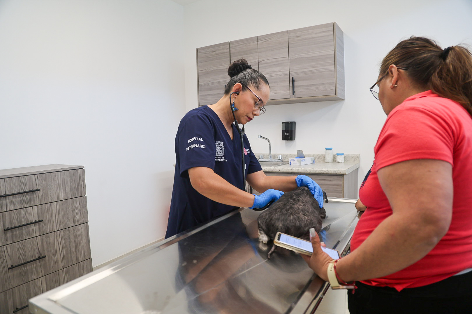 Aguascalientes da un paso histórico en bienestar animal: abre el primer Hospital Veterinario Municipal