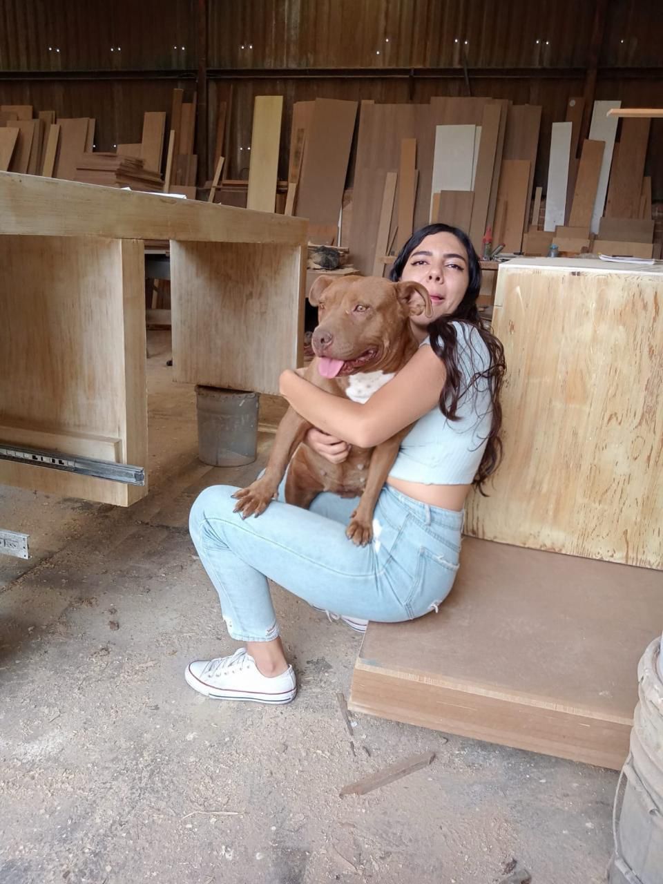 Ramona renace: un caso que refuerza la lucha contra el maltrato animal