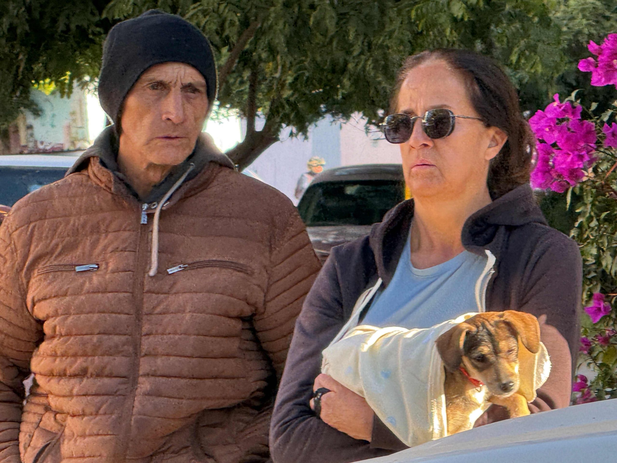 Nuevas jornadas de esterilización llegarán a Morelos y Pocitos: un esfuerzo por la salud pública y el bienestar animal