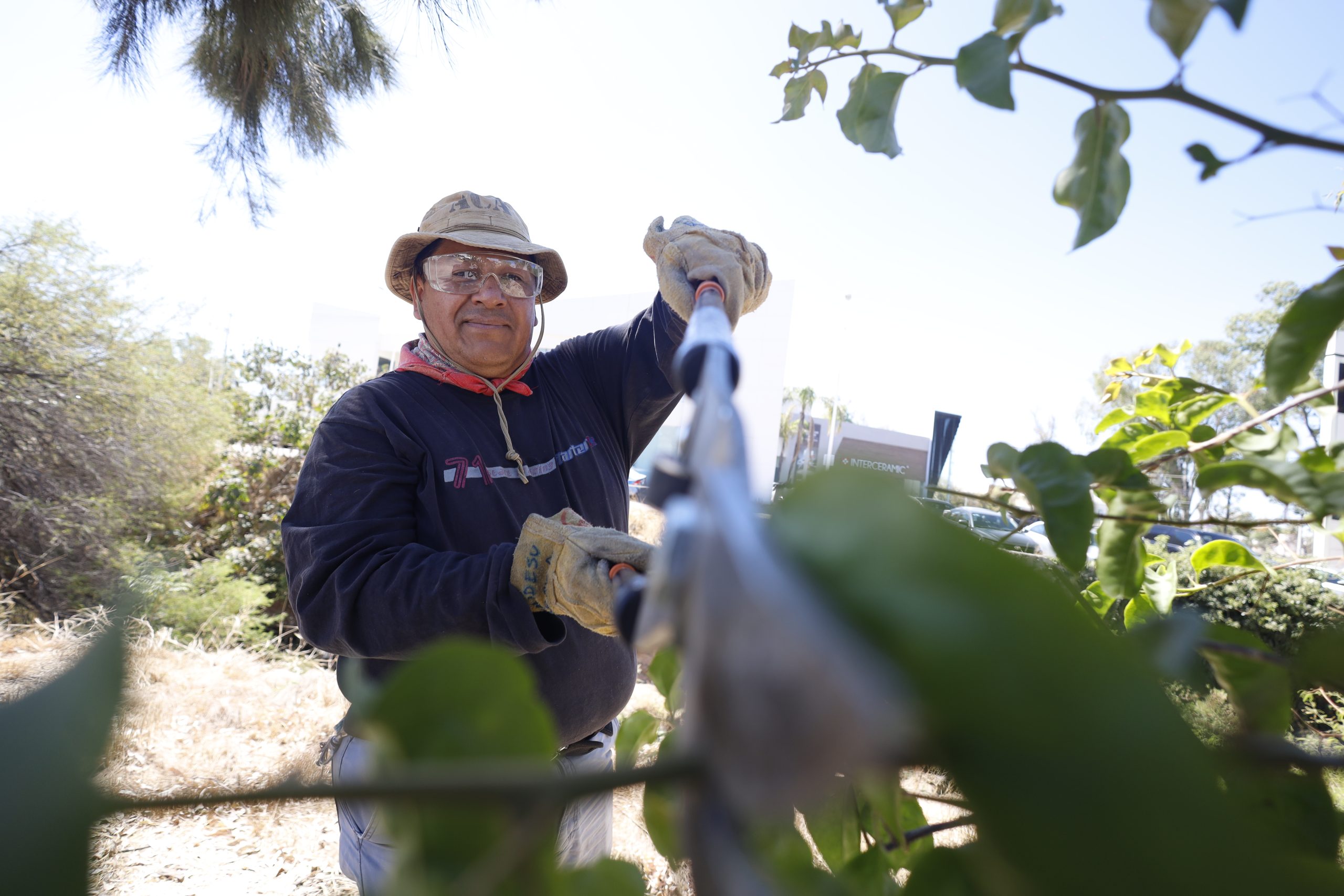 Aguascalientes fortalece su ruta hacia la sostenibilidad con programas de restauración ambiental y empresas verdes